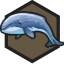 whales.png